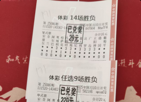 14场成功拿下二等奖和任九20倍的蚊子腿。快来拿好运。
